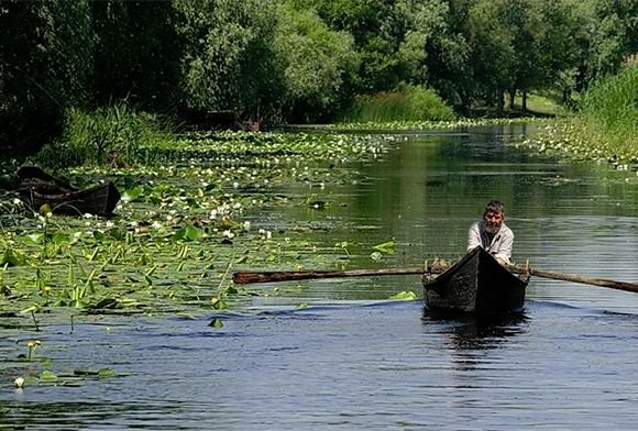 Delta Dunării.